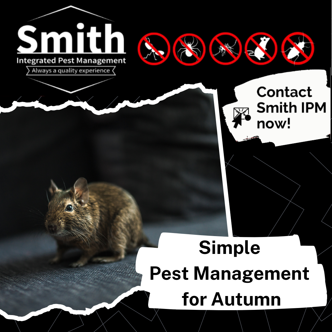 Simple Pest Management for Autumn in Indiana