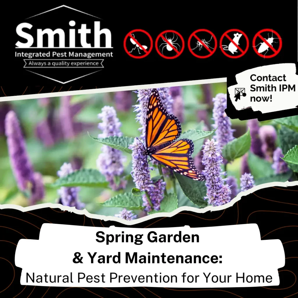 natural pest prevention