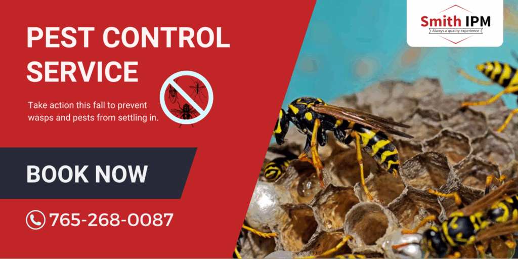 Safe Pest Control in Lafayette, Indiana
