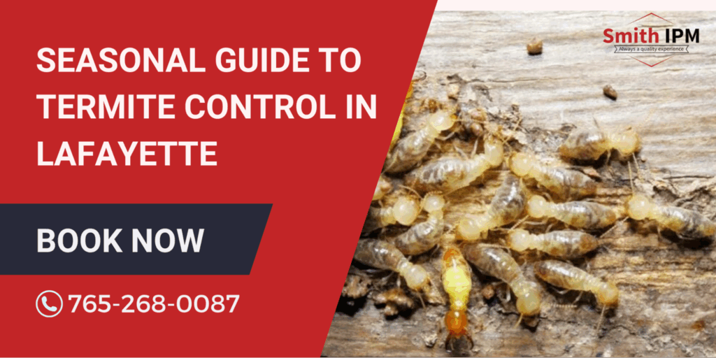 Seasonal Termite Control Lafayette, Indiana