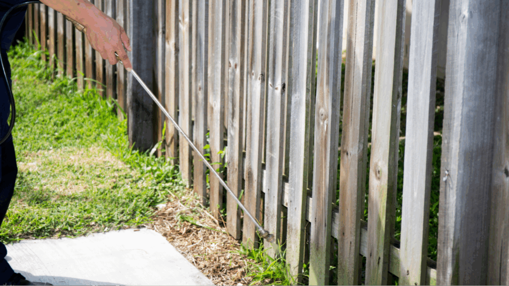 Proven Home Pest Prevention Tips