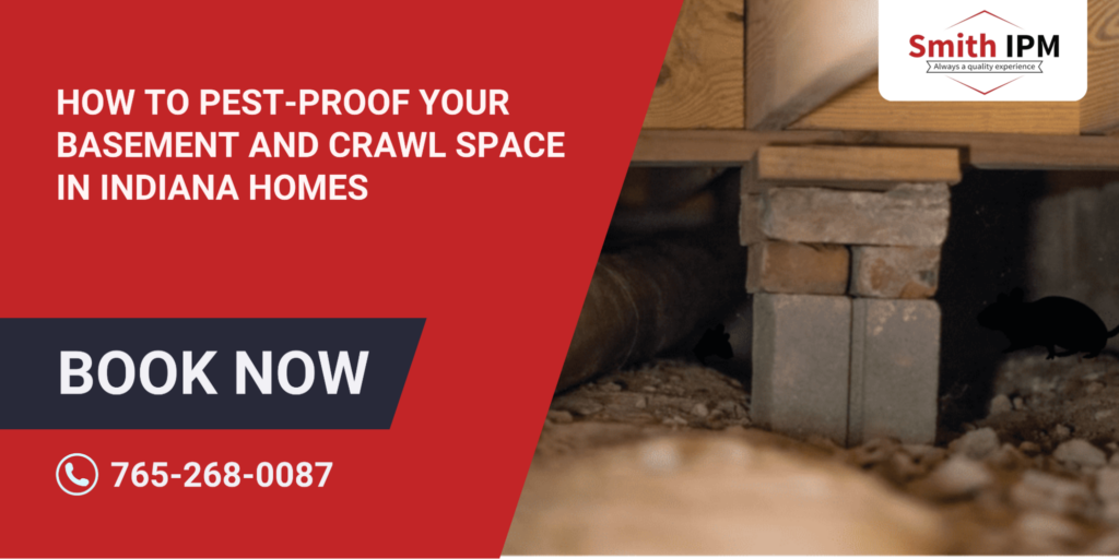 Pest Prevention Tips for Indiana Basements and Crawl Spaces
