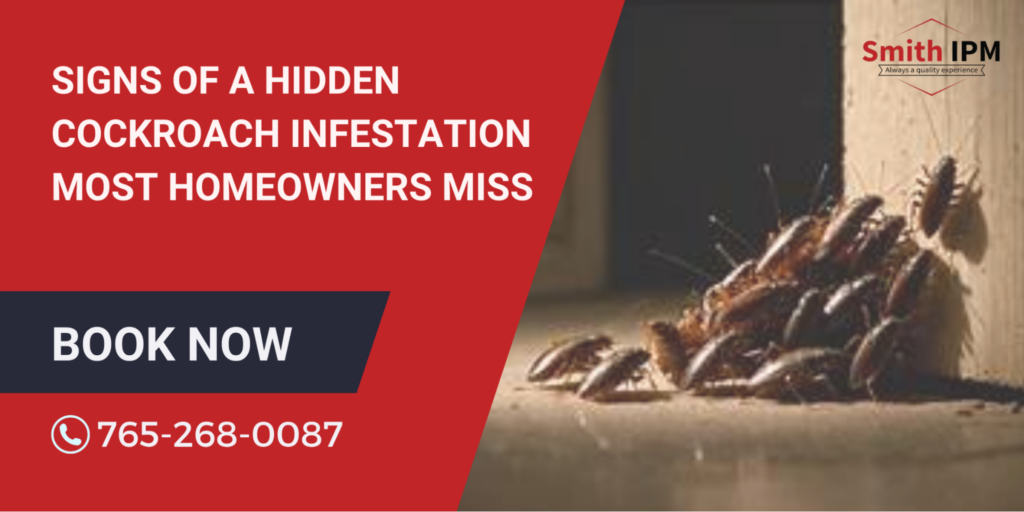 Signs of a Hidden Cockroach Infestation Most Homeowners Miss