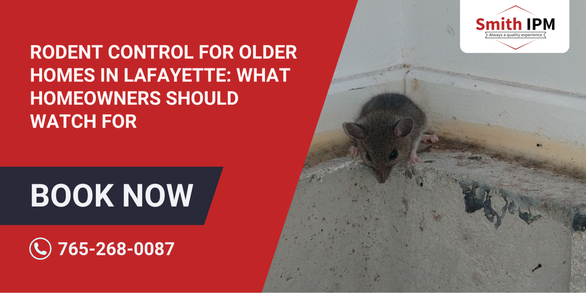 Rodent Control Tips