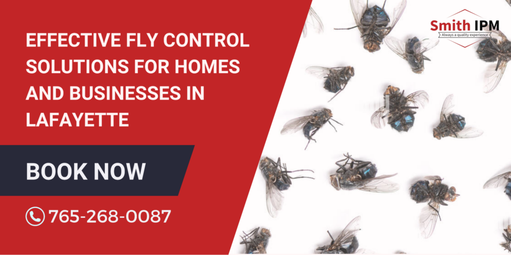 Effective Fly Control Solutions for Homes and Businesses in Lafayette