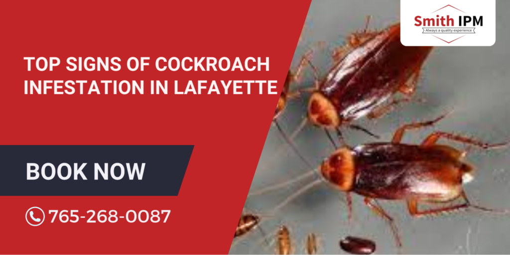 Top Signs of Cockroach Infestation in Lafayette