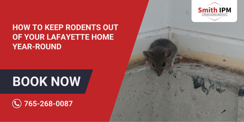 How to Keep Rodents Out of Your Lafayette Home Year-Round