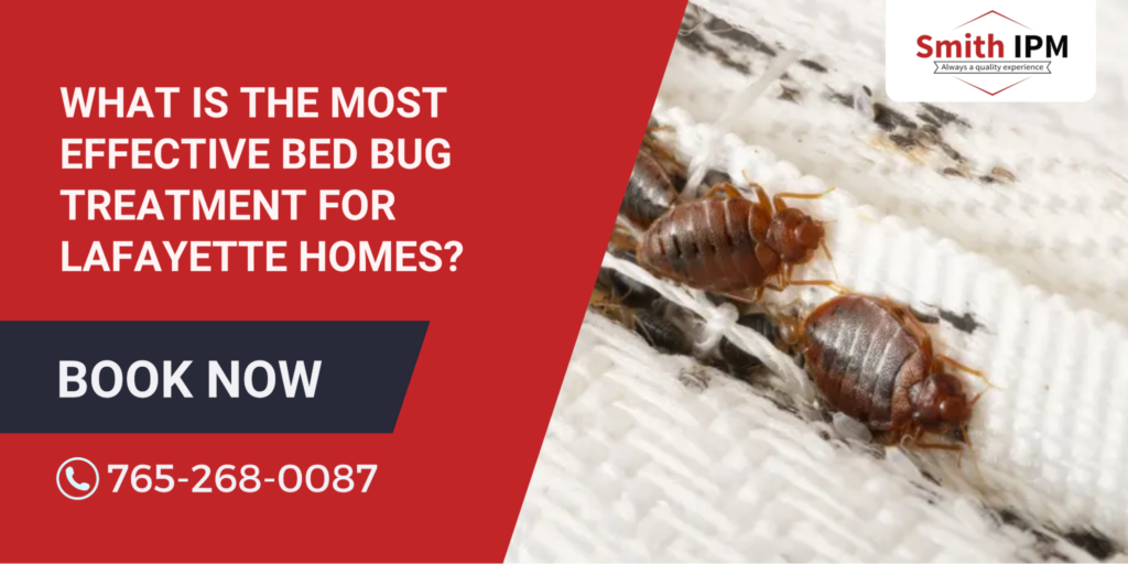 Bed Bug Treatment