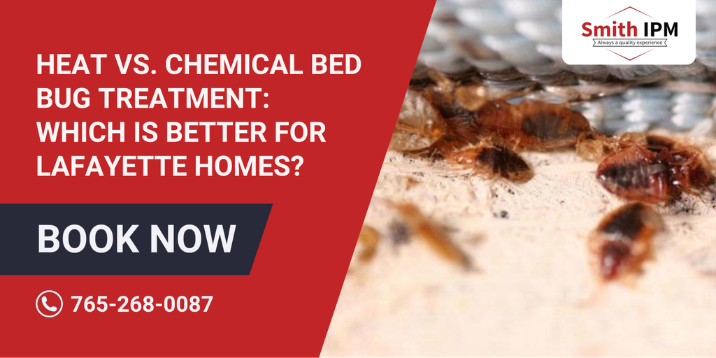 Heat vs. Chemical Bed Bug Treatment